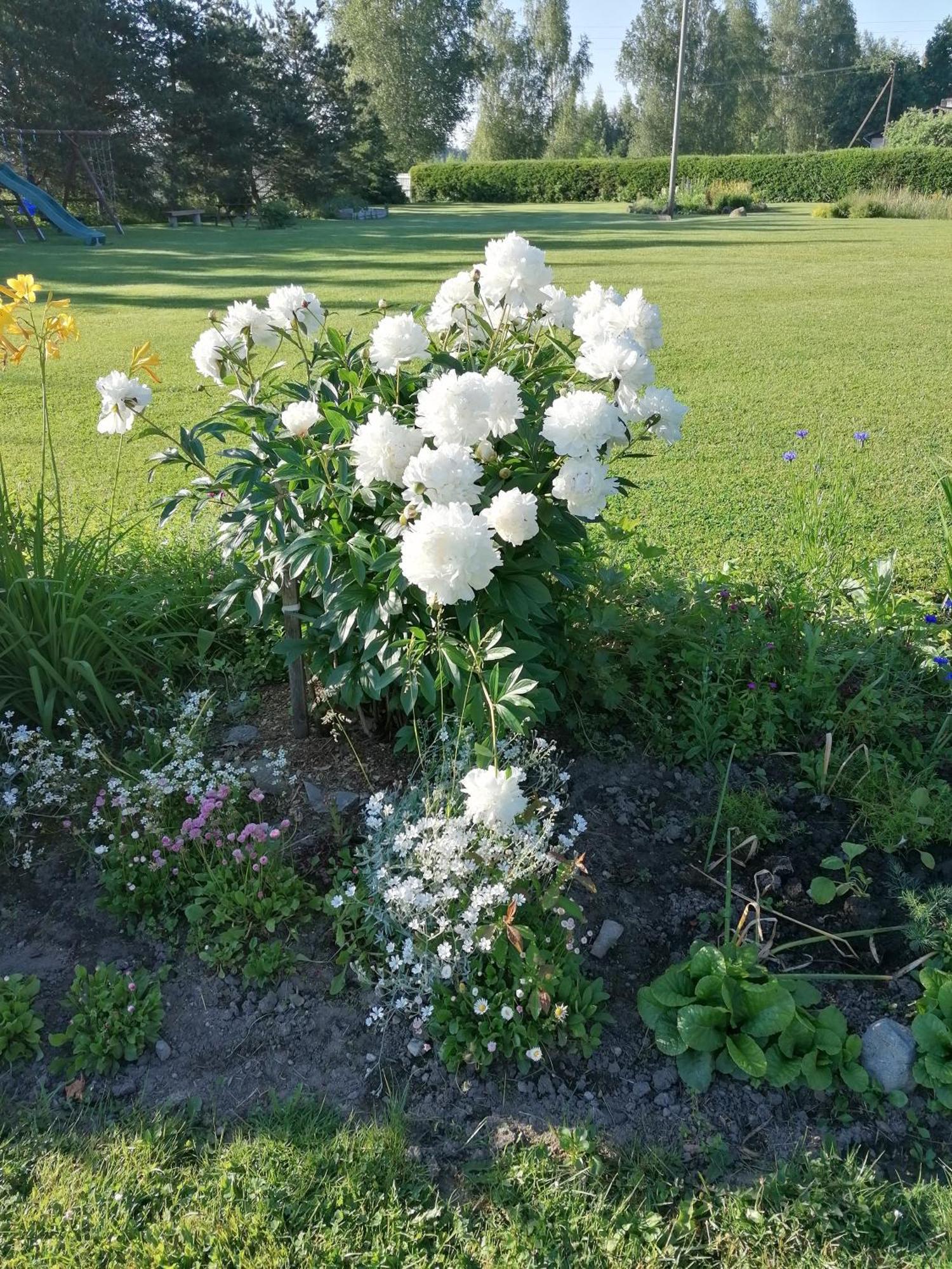 Villa River Rose Jõesuu المظهر الخارجي الصورة