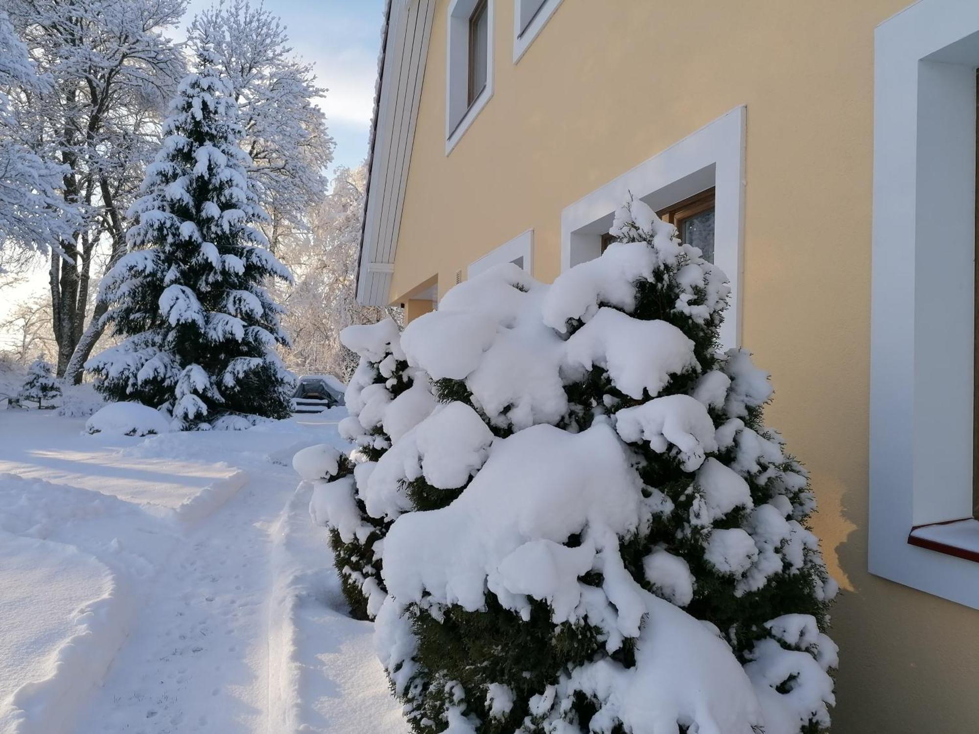 Villa River Rose Jõesuu المظهر الخارجي الصورة